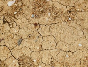 Climate Risk Management – Strategies and Tools for Regional and Local Challenges
