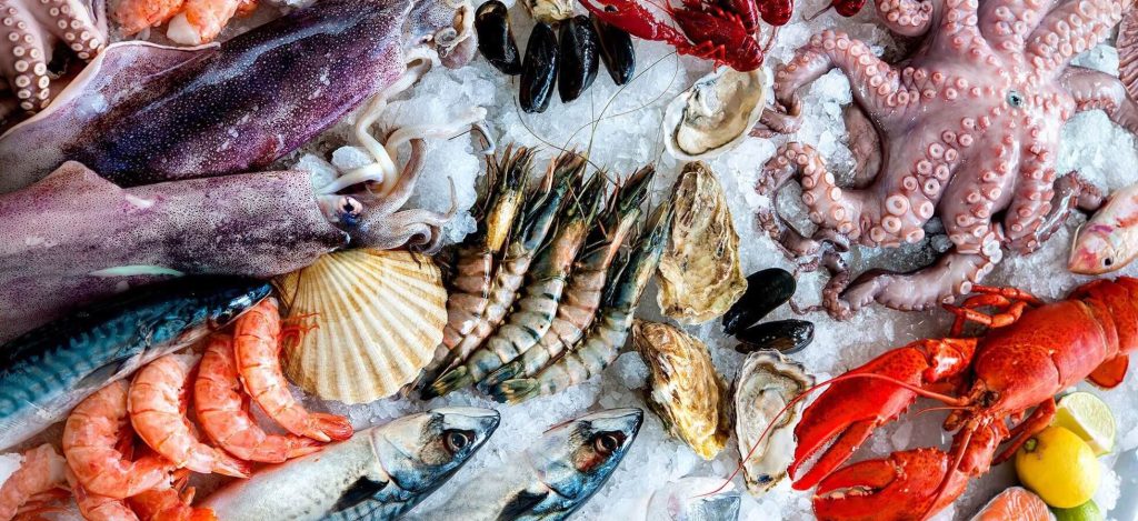 Identificação de espécies de pescado da costa Portuguesa – Construir o ...